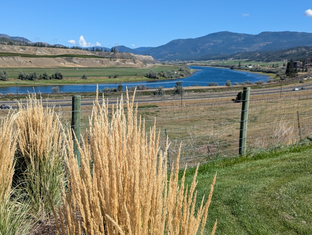 Kamloops landscape showing tall dried yellow grasses in the foreground, with a blue river, green fields, a distant highway, and hills under a blue sky.